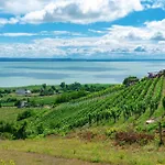 Fueloep Panzio Near Balaton Διαμέρισμα Révfülöp