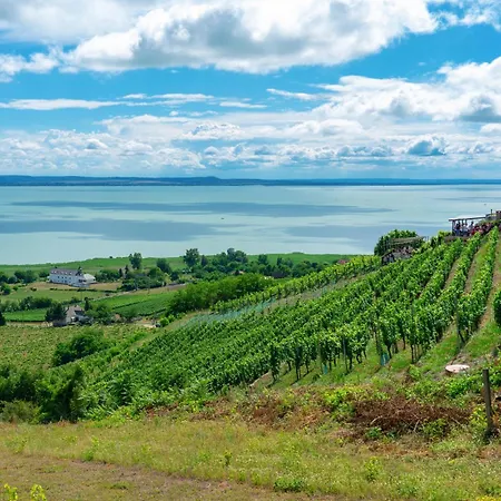 Fueloep Panzio Near Balaton 公寓 Révfülöp